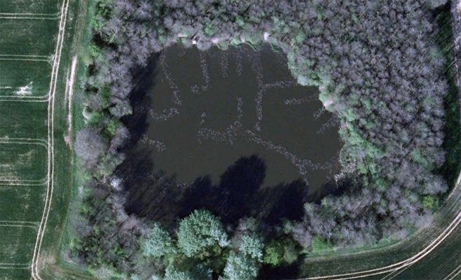 Rookesbury Carp Fishing Lake in Wickham Eastleigh Angling